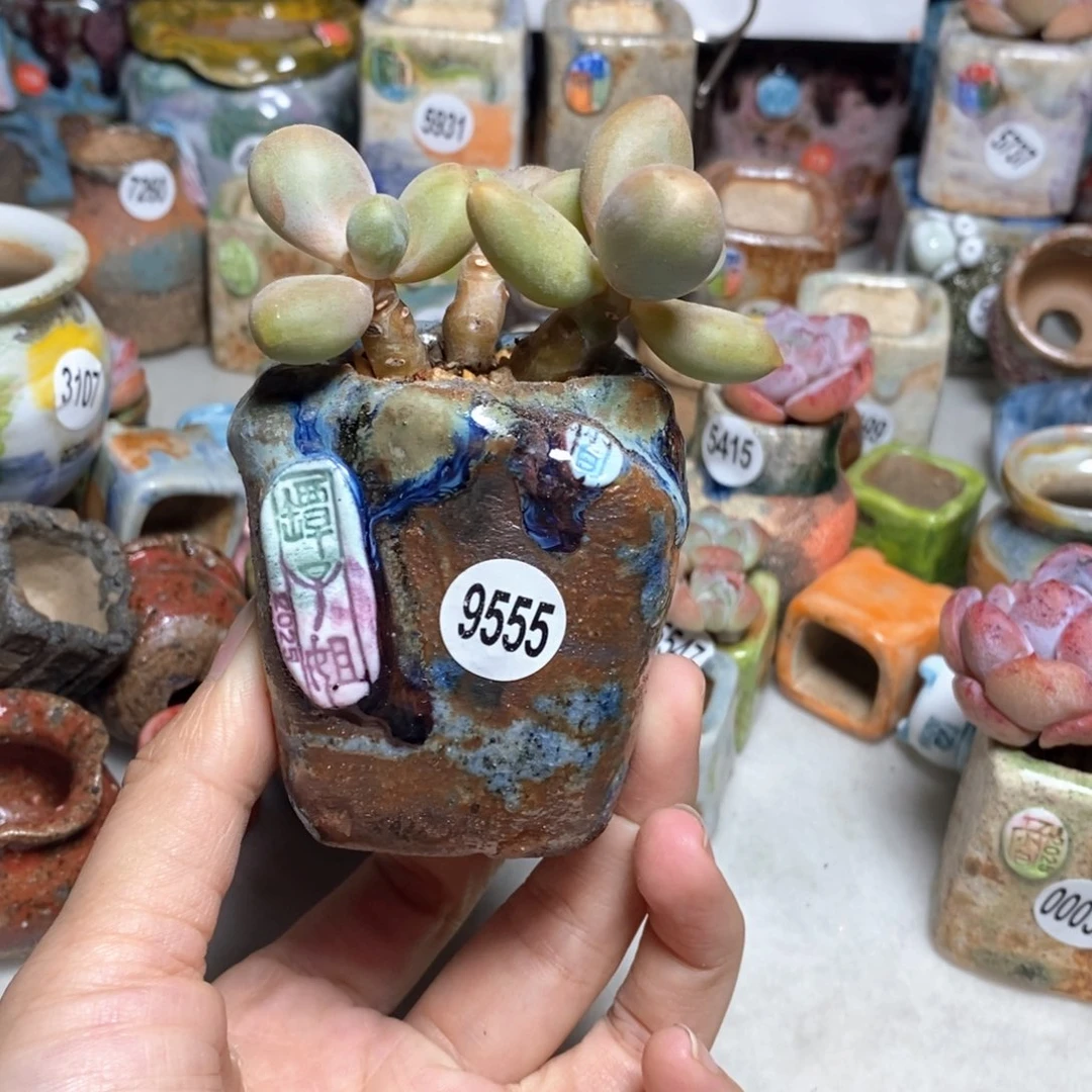 处理的，不退不换的