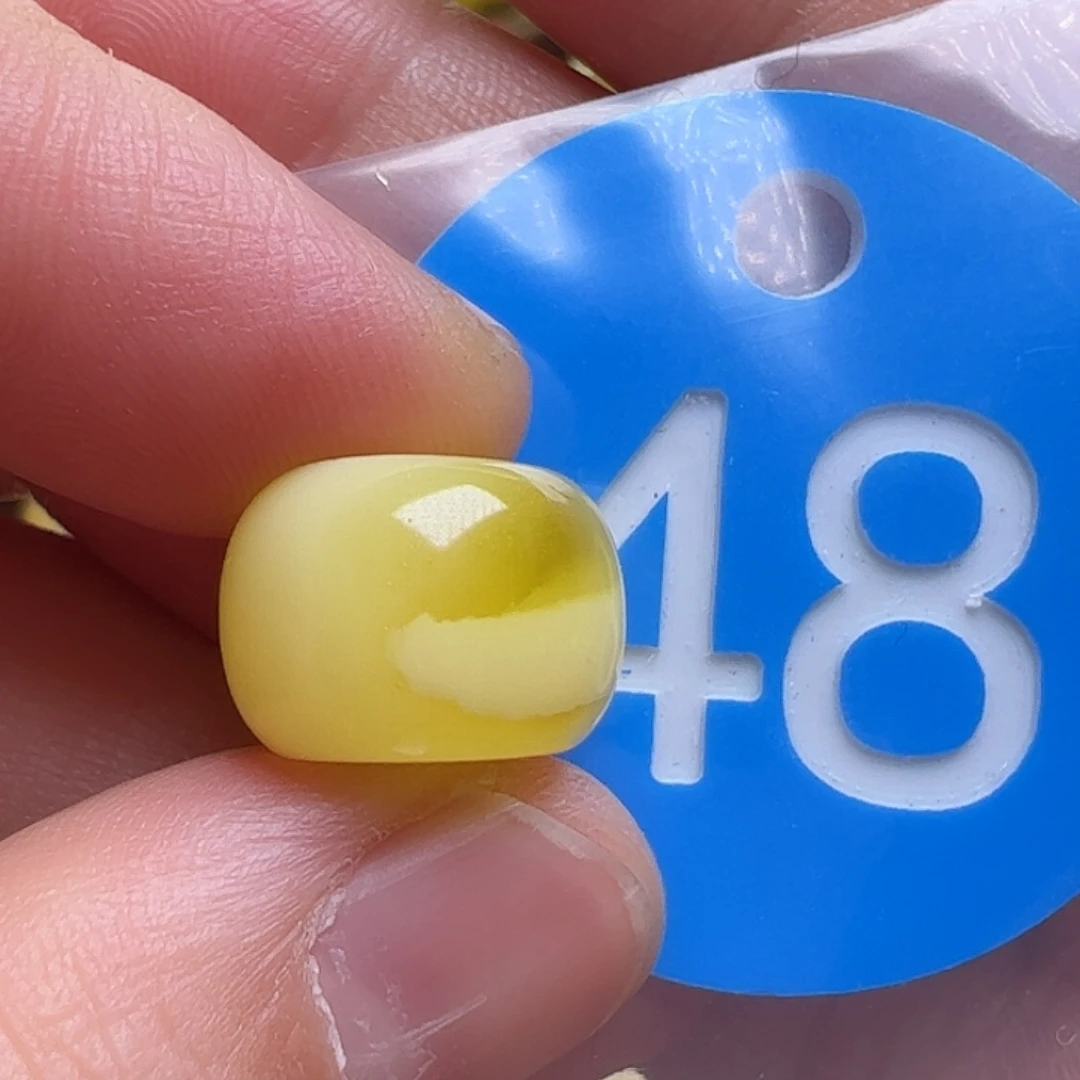 蜜蜡未镶嵌珠宝奇石13.5mm花粉