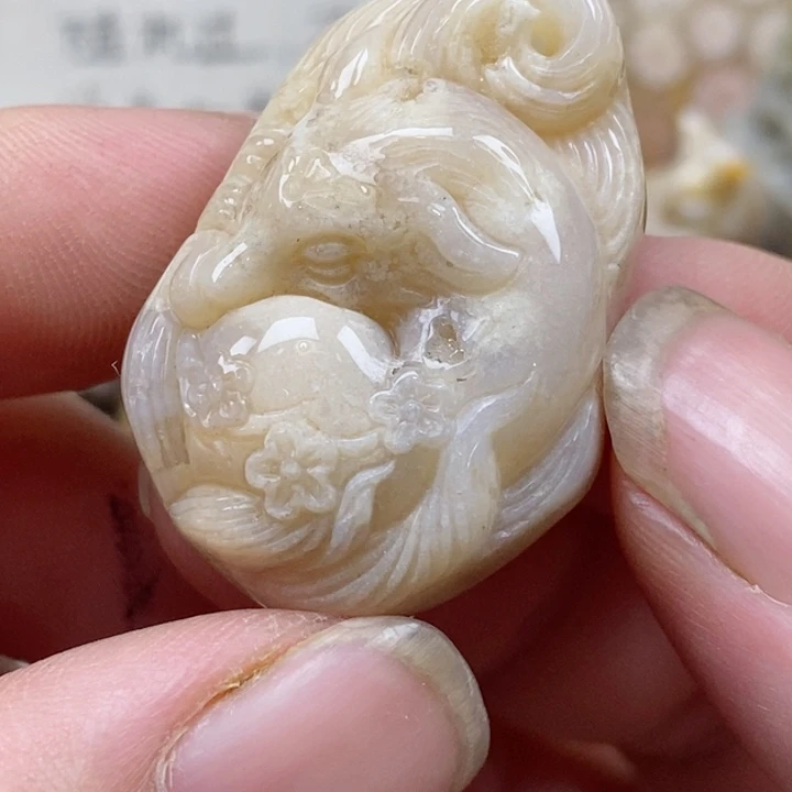 颈饰未镶嵌硅化珊瑚（珊瑚玉）小