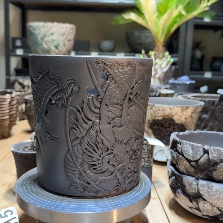 内口14.5高16.5块根盆龙盆