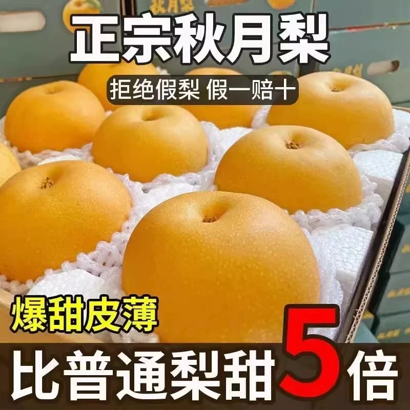 正宗山东莱阳秋月梨 特等果新鲜水果 爆甜多汁