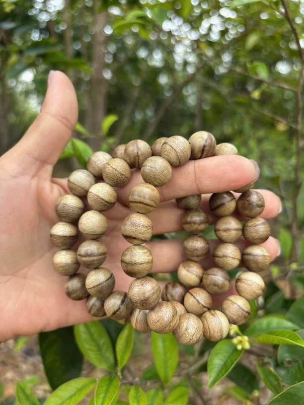 沉香(正品)正区达拉干11圆珠单圈虎斑纹陈年老料多样性发一