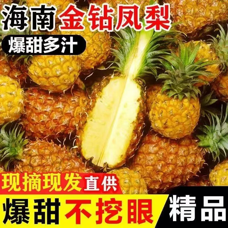 福利【2个】海南正宗金砖凤梨爆甜多汁不挖眼不泡盐水新鲜产地直发