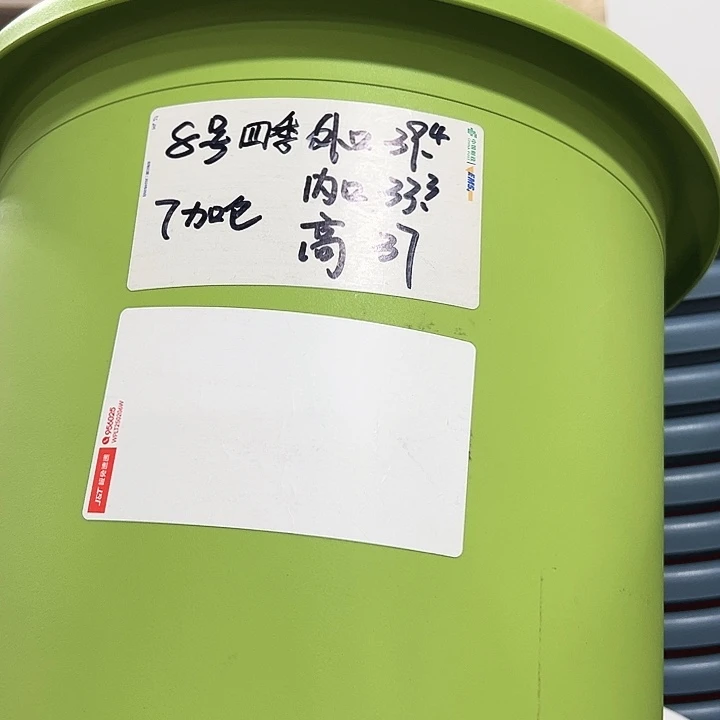 特价8号口39.4高34果绿3只无托