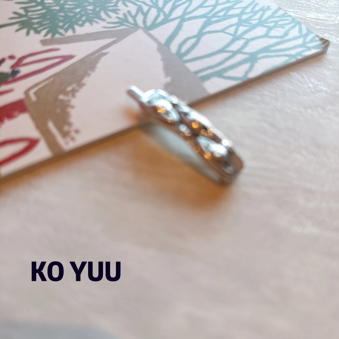 【雨桐高奢饰品】发夹CC00142