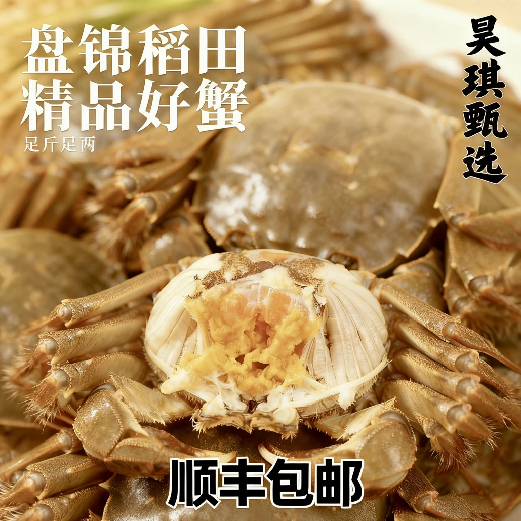 鲜活盘锦稻田蟹【母蟹1.8-1.5两/只】 顺丰速运包邮