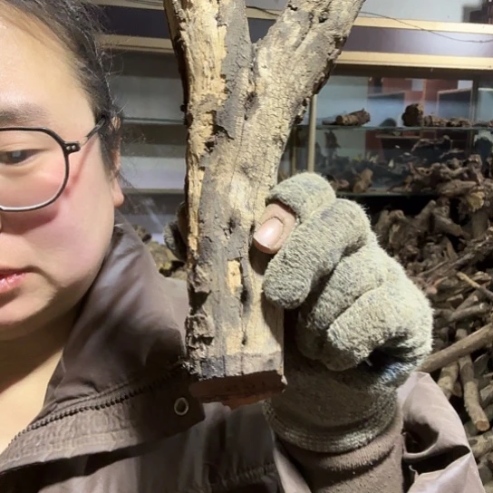 香榧木蓝****人火琉璃的毛料摆件