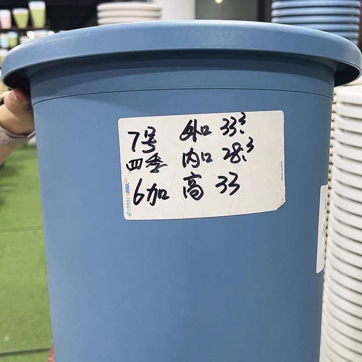 特价7四季口33高33雾霾蓝无托6只
