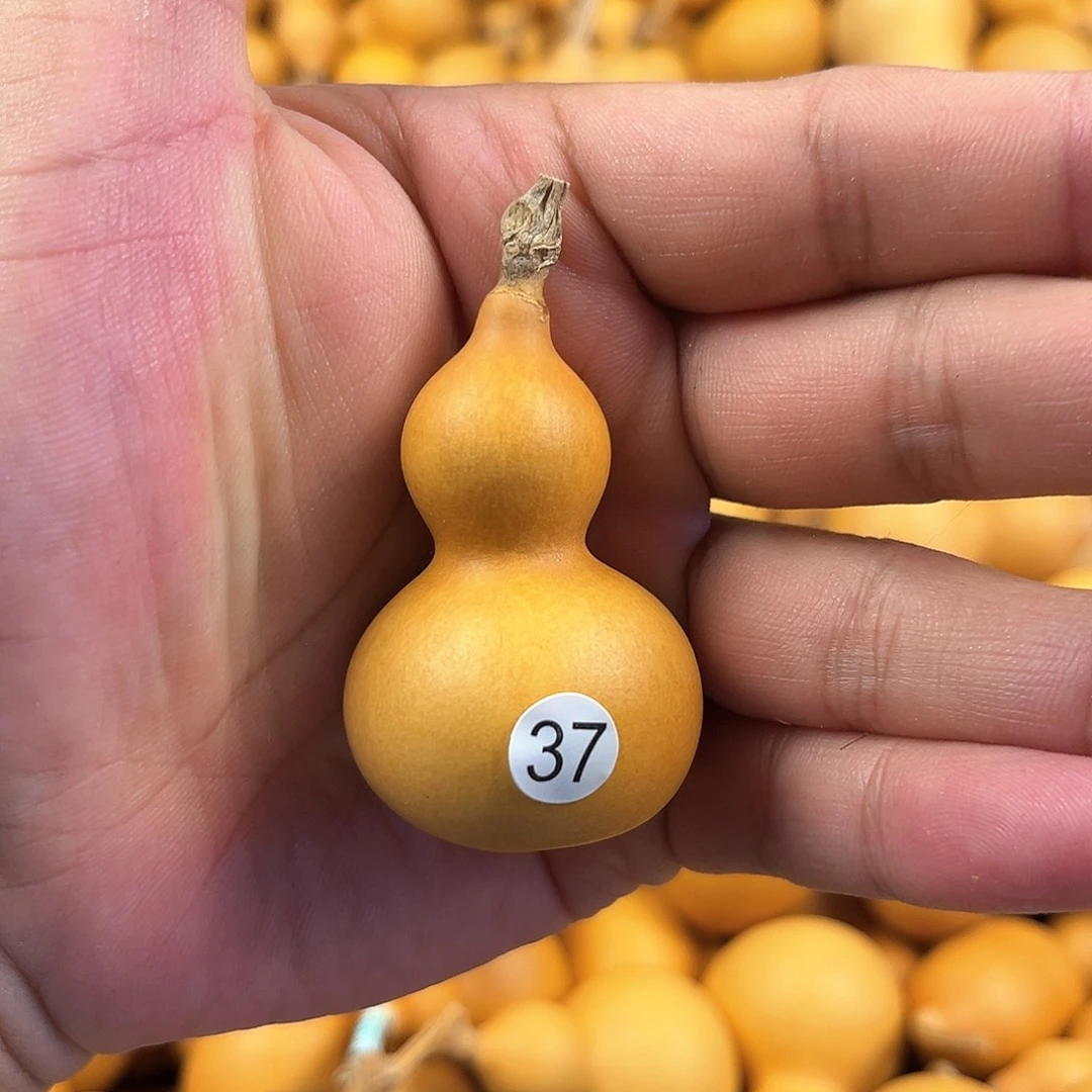 一葫芦葫芦葫芦葫芦37