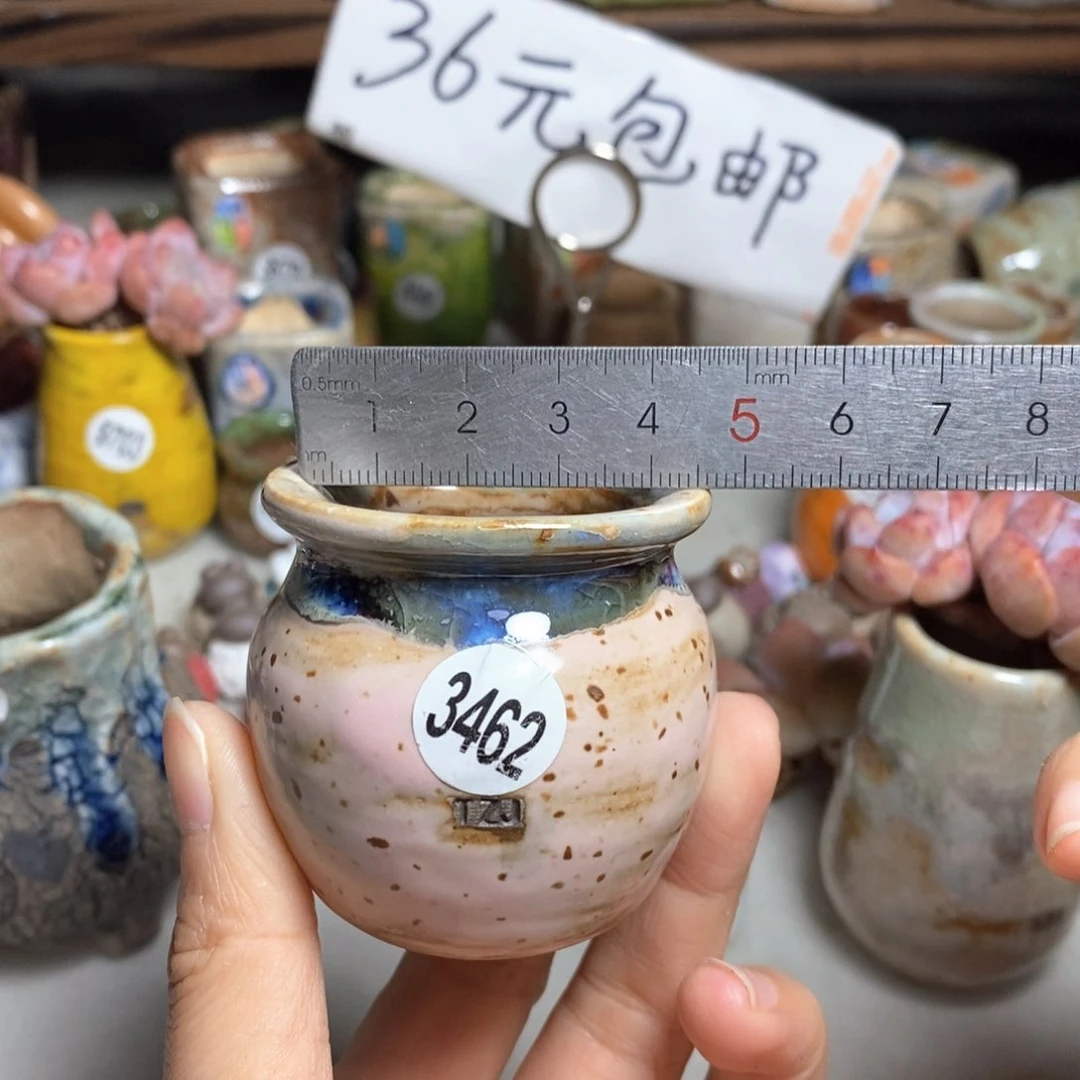 拍5送一个小礼物