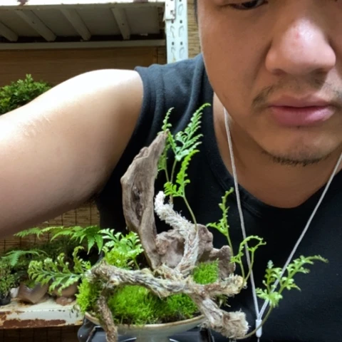 红陶一物一拍所见即所得23