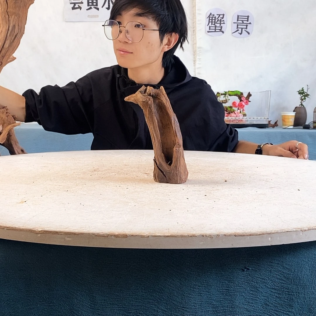 沉木造景爬宠造景