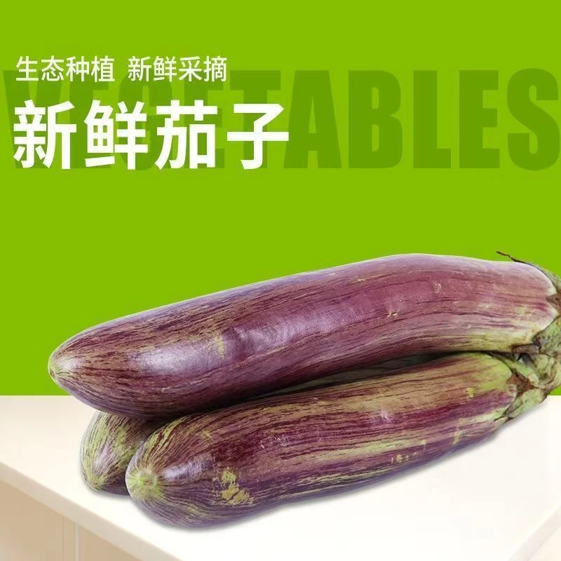东北吉林梨树特产花茄子 新鲜面包茄子软烂可口