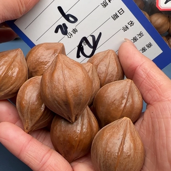 奋***行橄榄核手串橄榄核