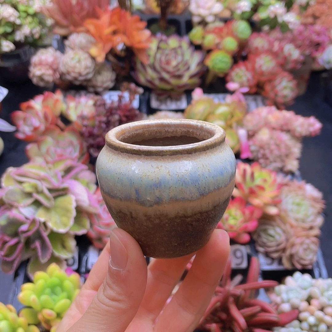 花钱花钱花钱花钱