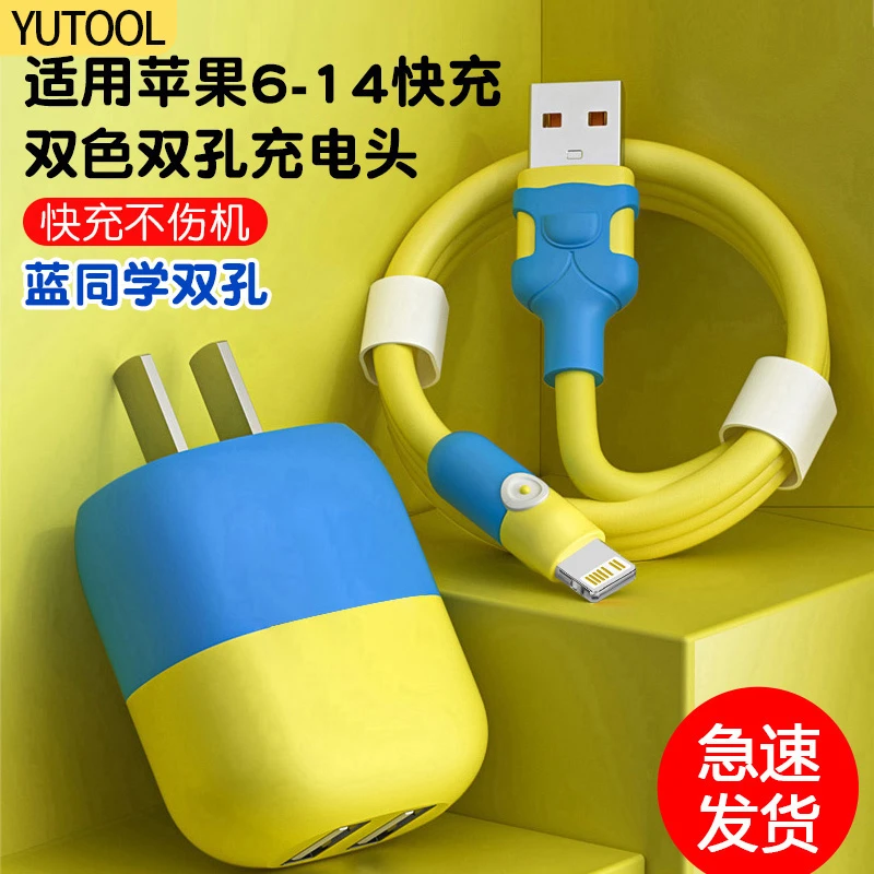 适用苹果快充iPhone14/13/12/11/xr/5/6/7/8/Xxs快充充电头双孔