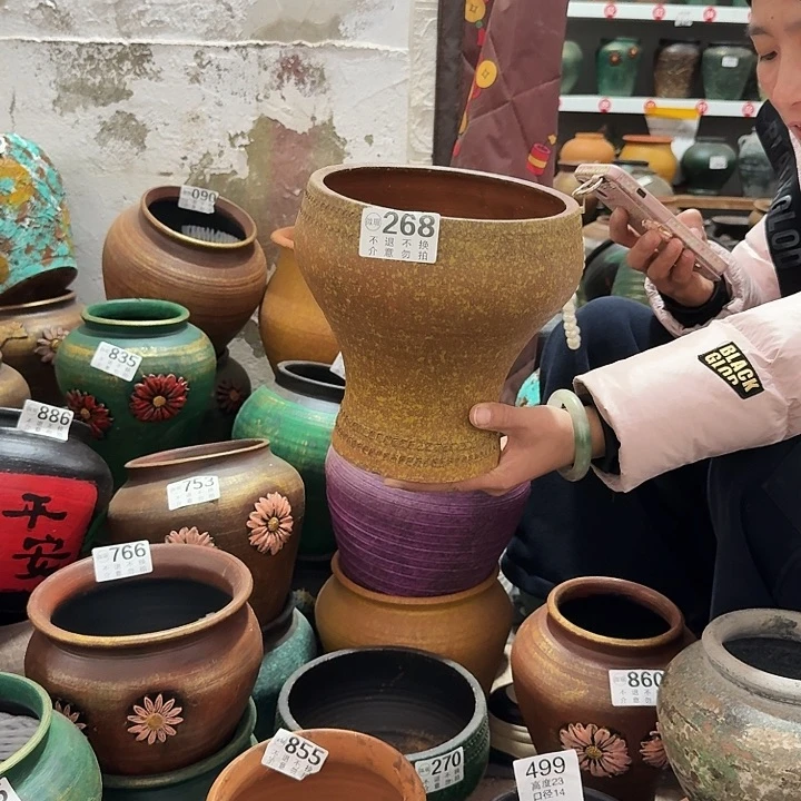 黄色鱼尾268高度20口径18