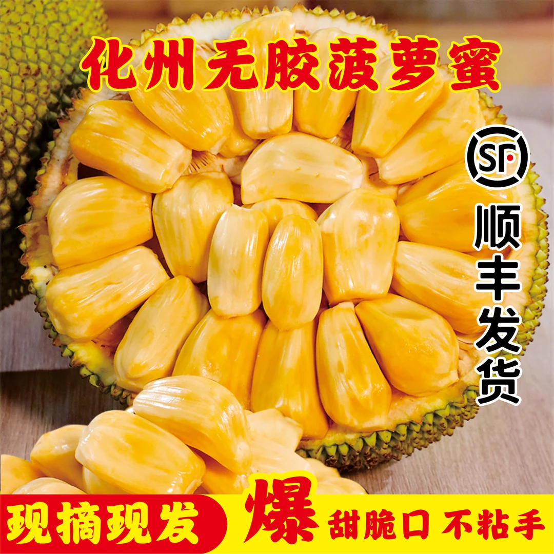 【无胶菠萝蜜】化州特产珍珠菠萝蜜干苞脆甜果园直发应季热带水果