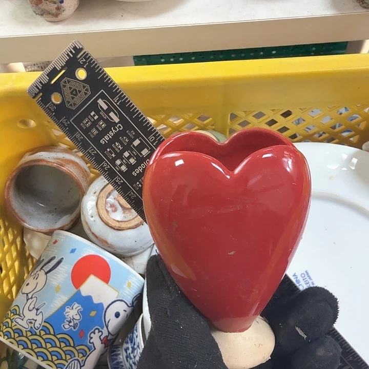 碗开播啦…开播啦