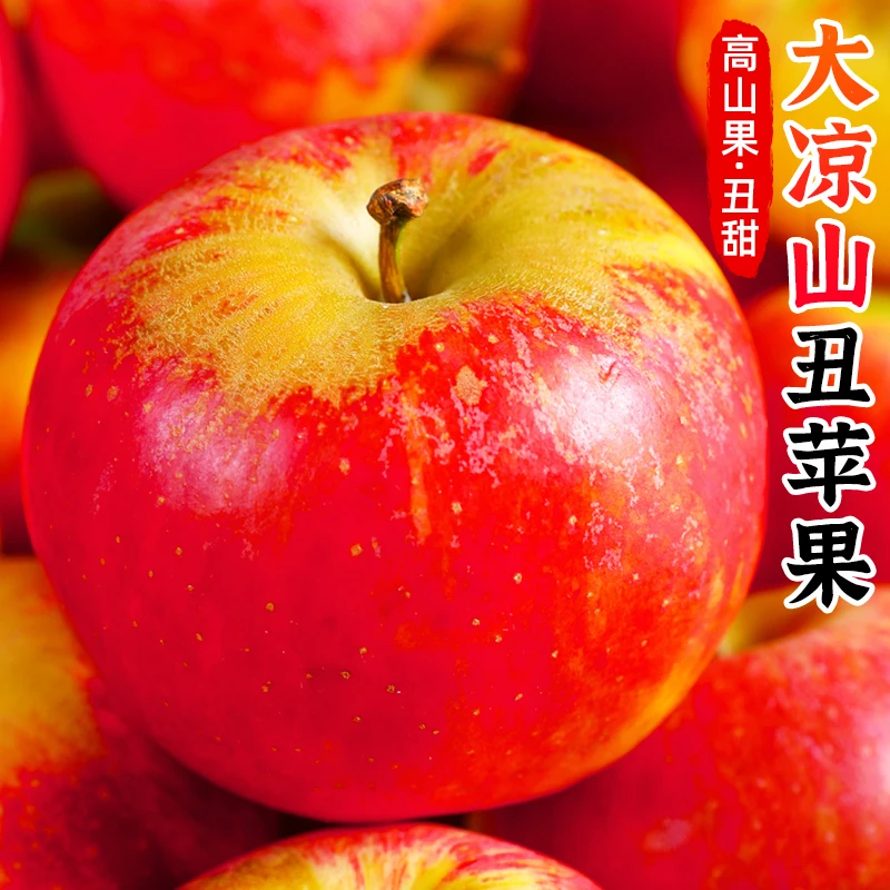 【脆甜多汁】大凉山丑苹果5-8斤新鲜当季水果盐源富士非昭通苹果