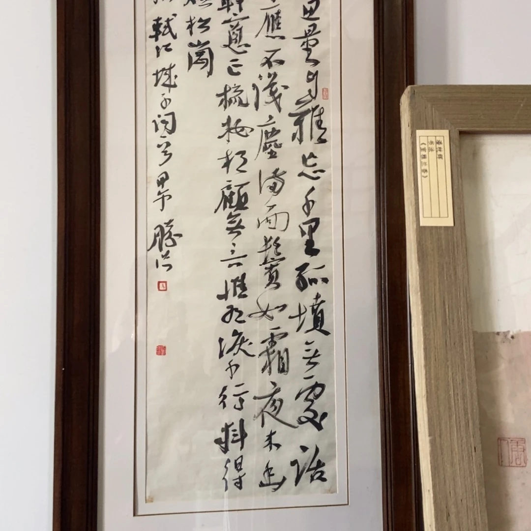 【闪购商品】国画苍***～墨鱼精品墨鱼厘米