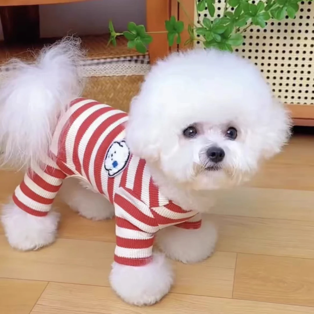 宠物狗衣服背心博美比熊泰迪专用衣服