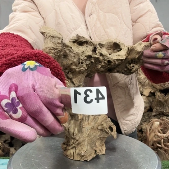 创****织紫砂的味道很好喝的