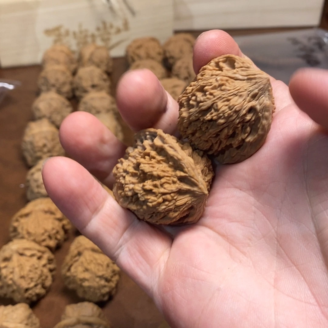手串金刚菩提满天星40左右