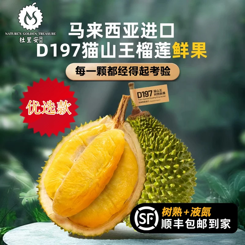 中秋热销猫山王马来西亚进口榴莲冰鲜榴莲整果液氮冷冻保鲜