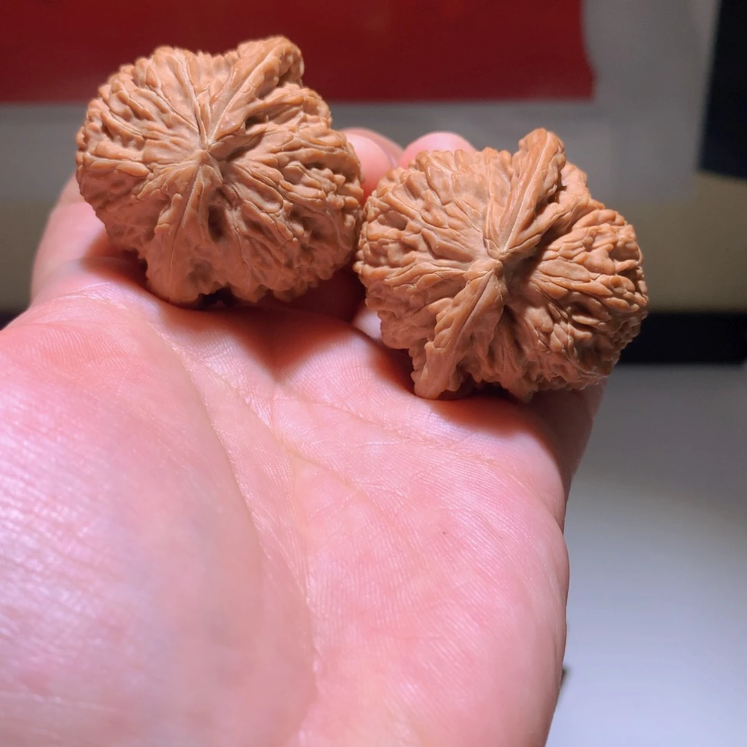 把件文玩核桃白狮子41尺