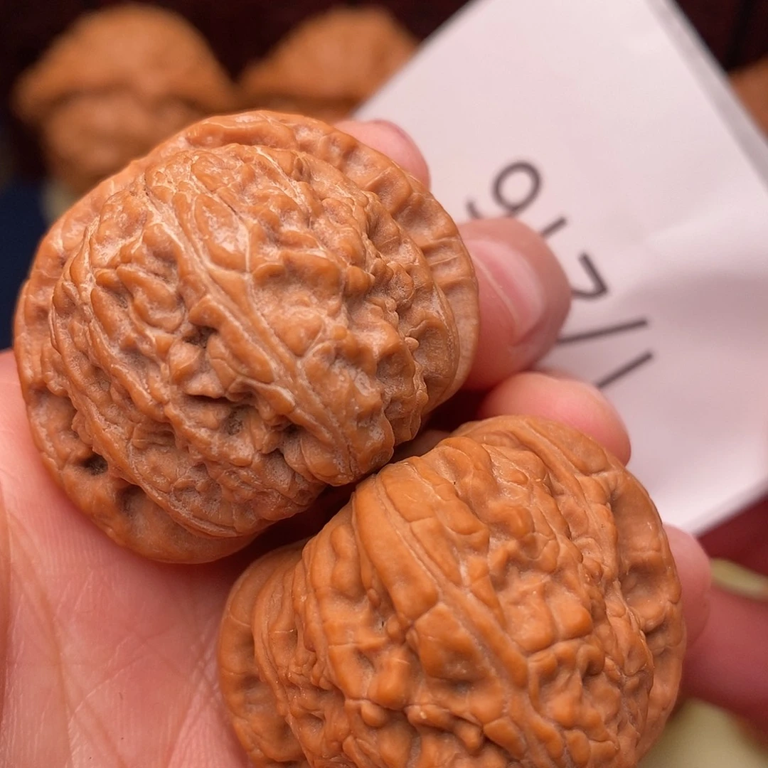 把件文玩核桃36白狮子