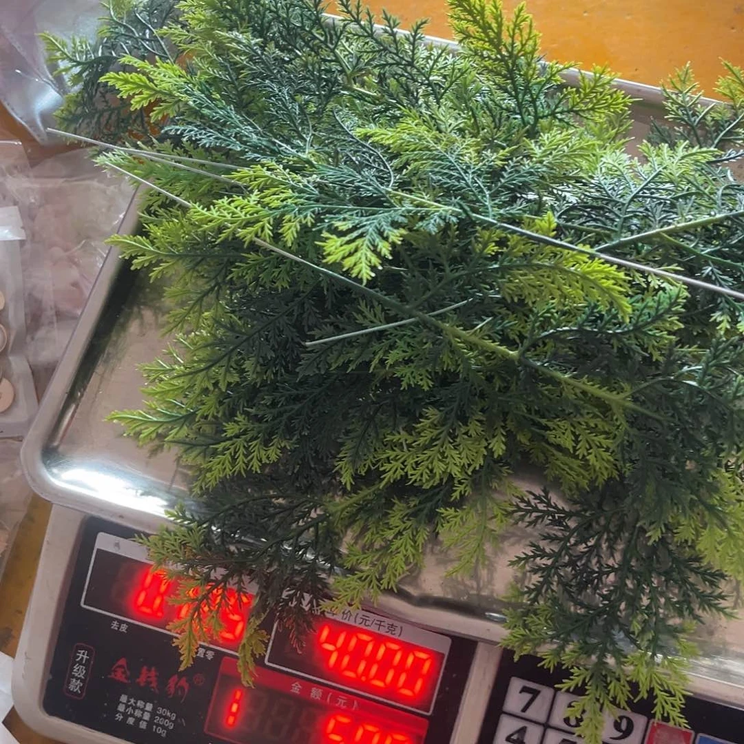 包装gghjjjhhhnjhhhgg