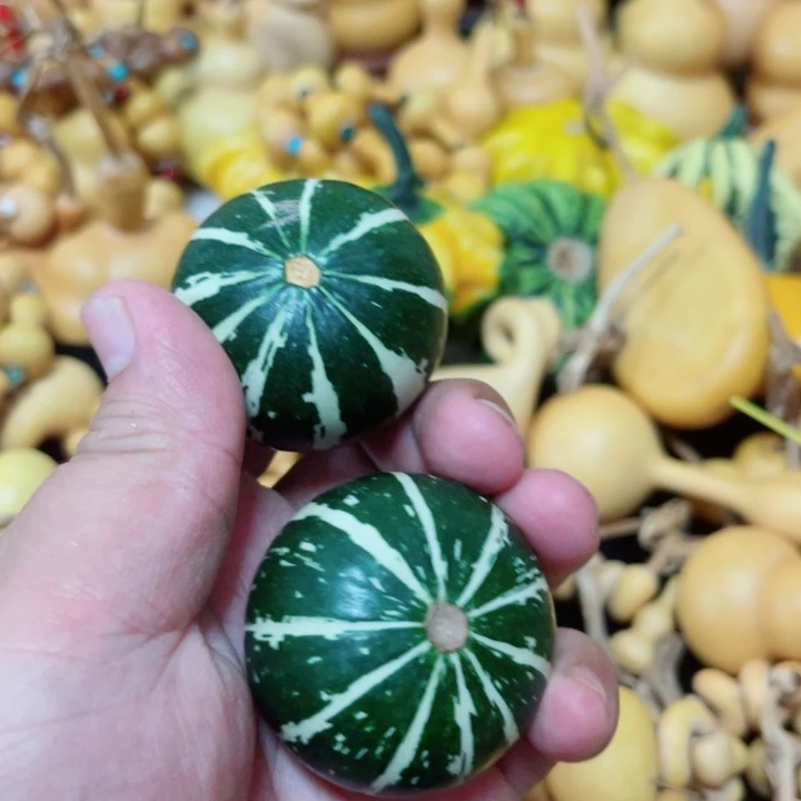 蓝*喜欢西瓜多在习惯