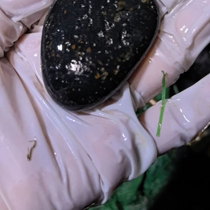 喜***福有机玻璃藏玉药王石原石手把件