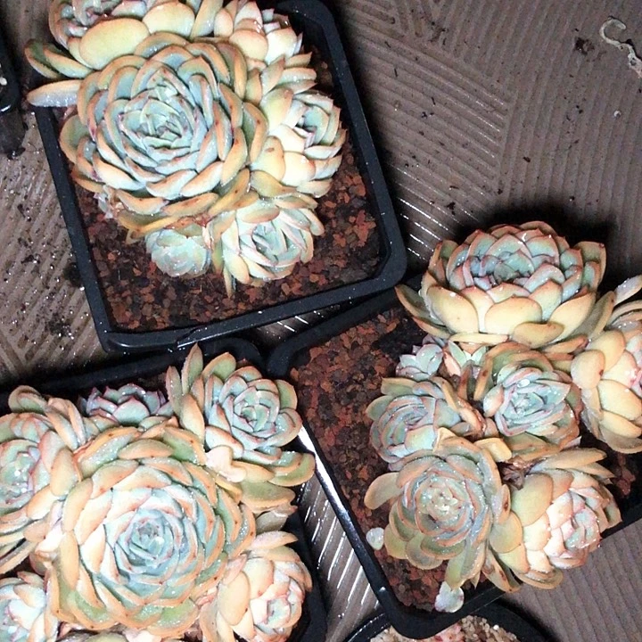 119/////////////////