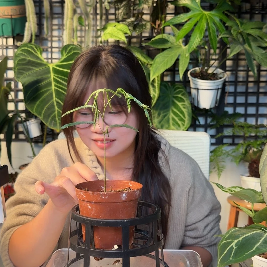 完全开放Z一物一拍121