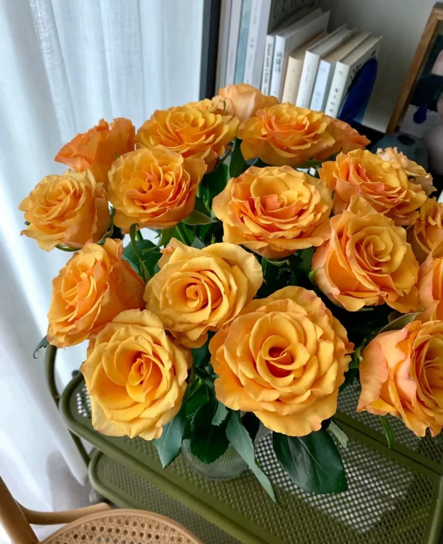 家具鲜花 辉煌玫瑰