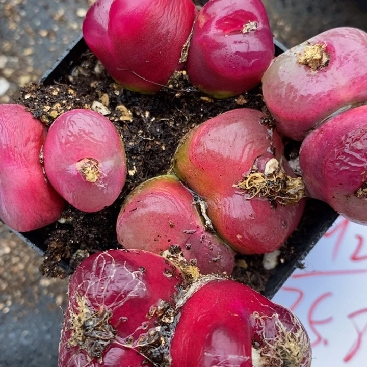 2092一组一组一组