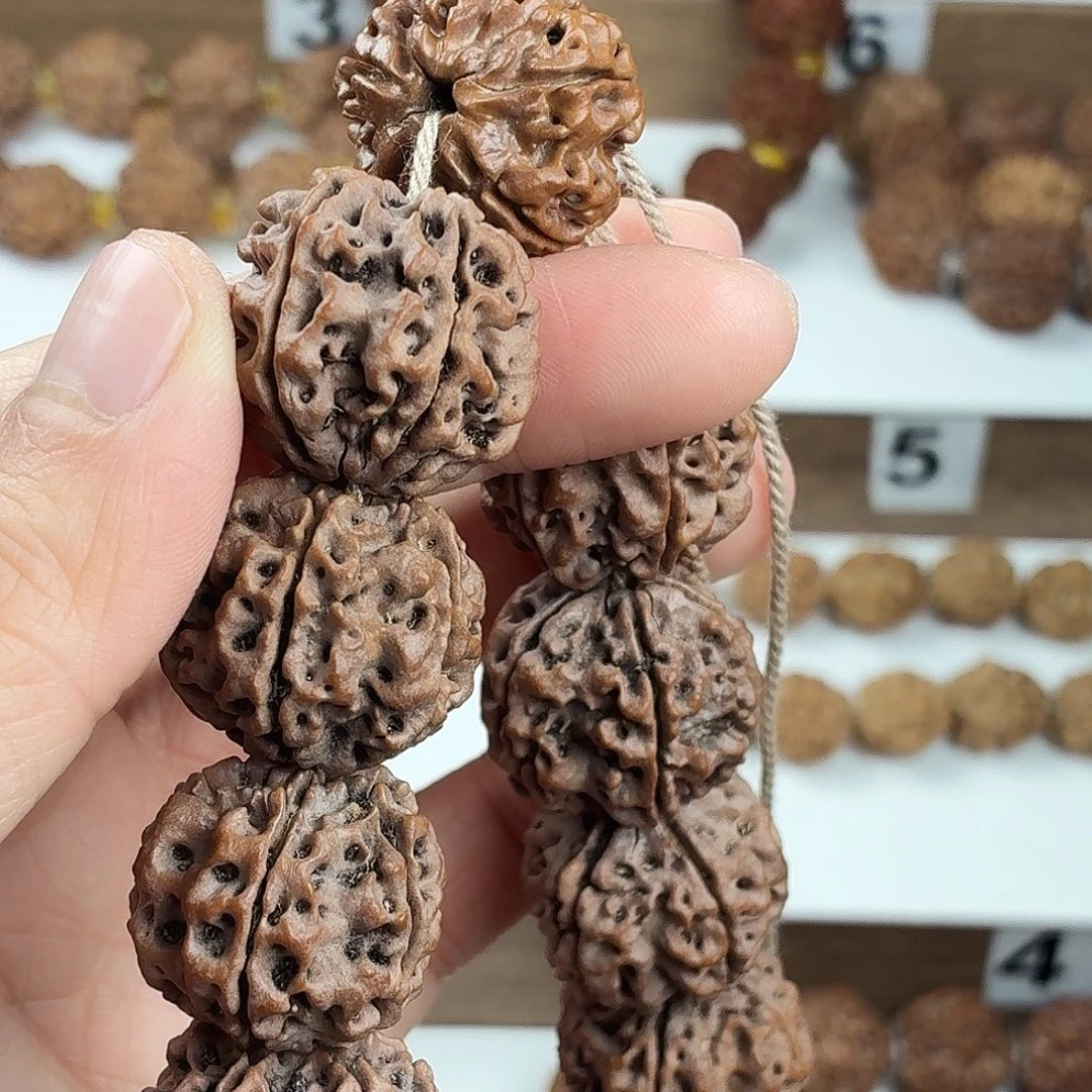 手串金刚菩提原生态精品5瓣蜂窝双龙