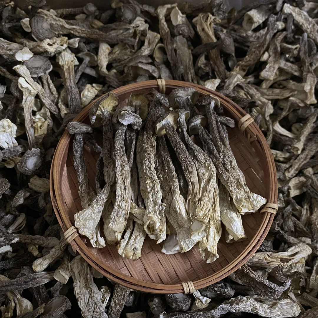 新鲜鹿茸菇干货精选营养香菇脆嫩炒菜煲汤农家特产菇类