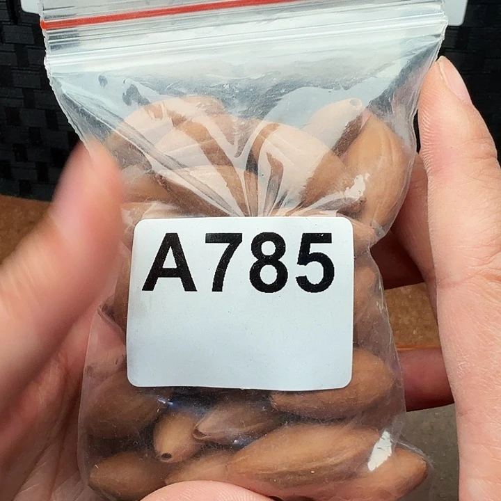 顺***水橄榄核手串/手链橄榄