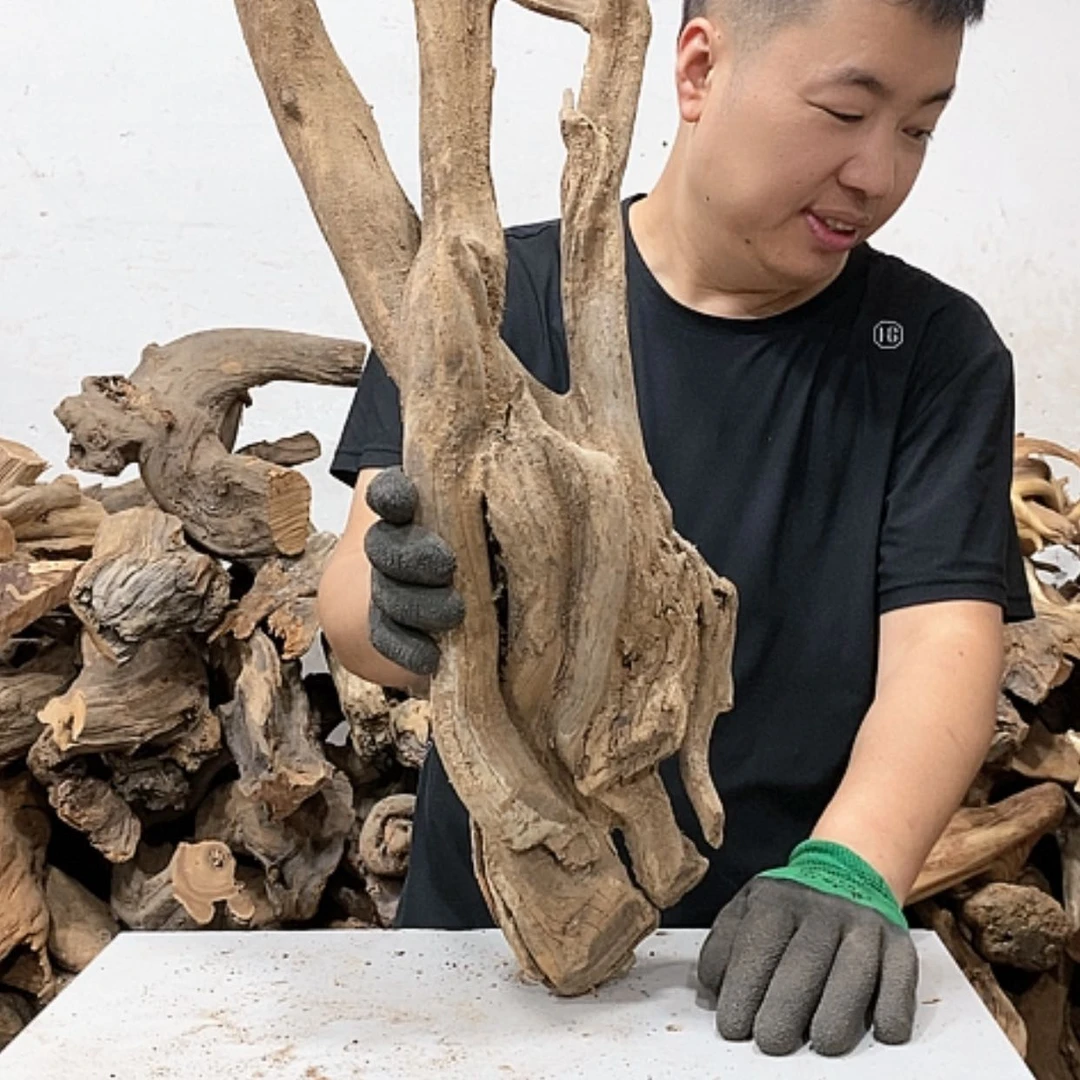 【闪购商品】柏木拂*斋我们都是好孩子