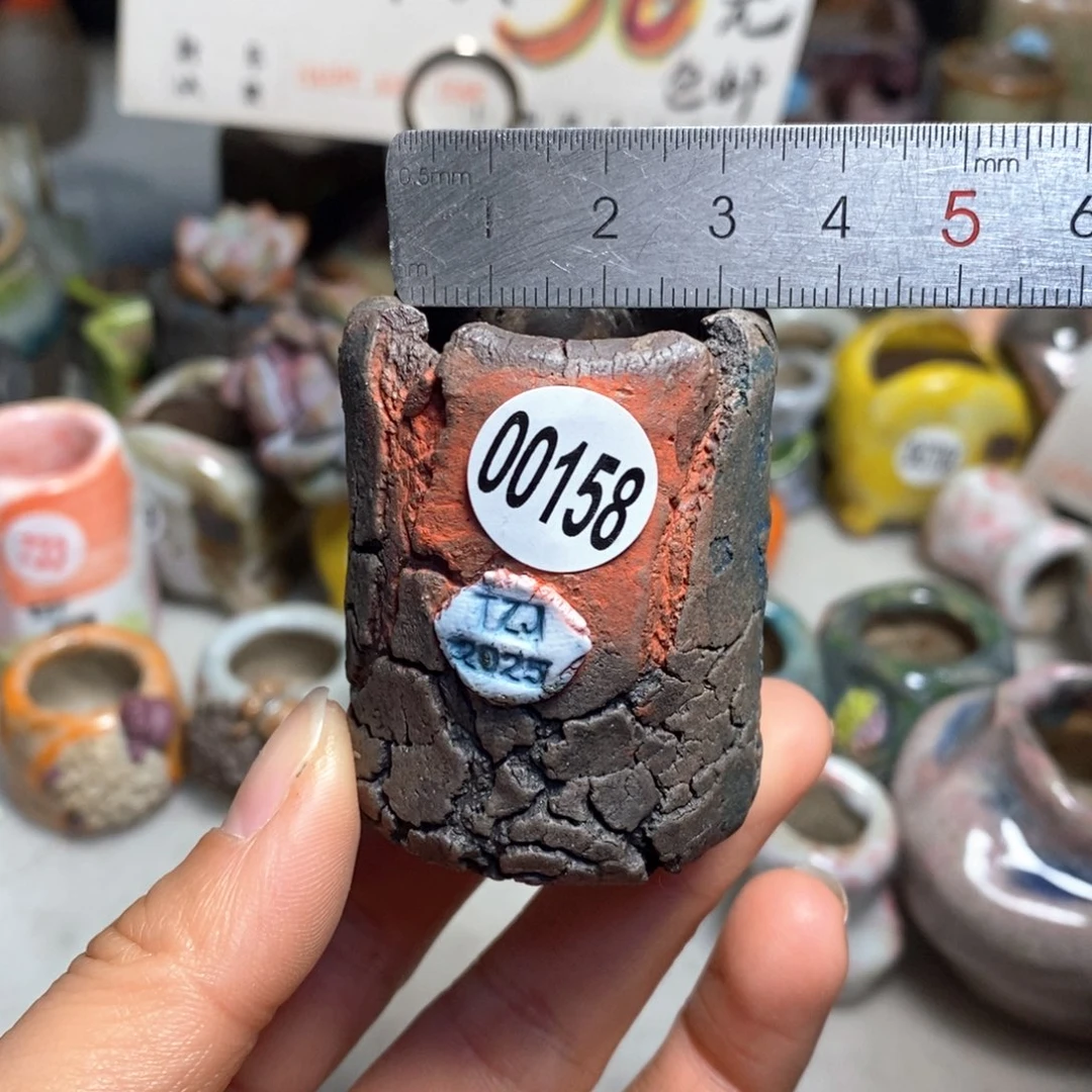 花盆拍3送一个小礼物