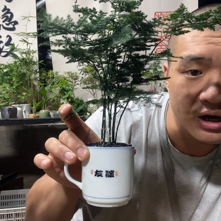 无花朵退款拉黑拉黑161