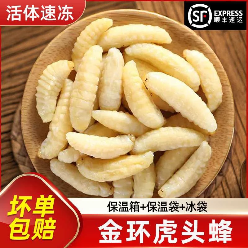 【顺丰包邮】云南特产金环虎头蜂蜂巢土蜂蛹新鲜马蜂可食用生鲜昆虫