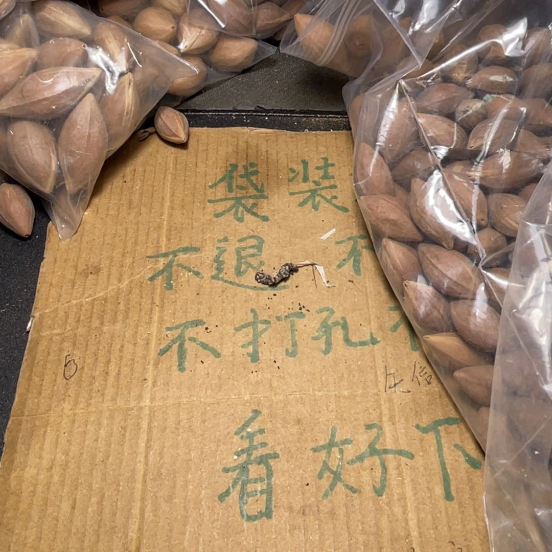 余***E橄榄核吊坠橄榄核