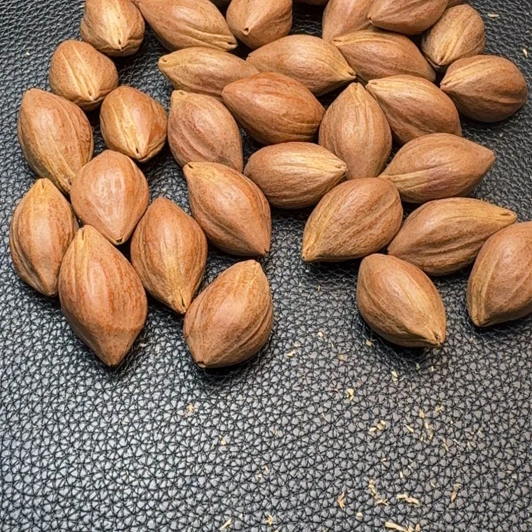 爱***芦橄榄核手串/手链1