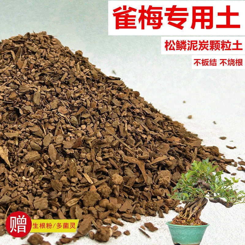雀梅专用土花土赤玉土风化土盆栽盆景营养土酸性沙质土种植土