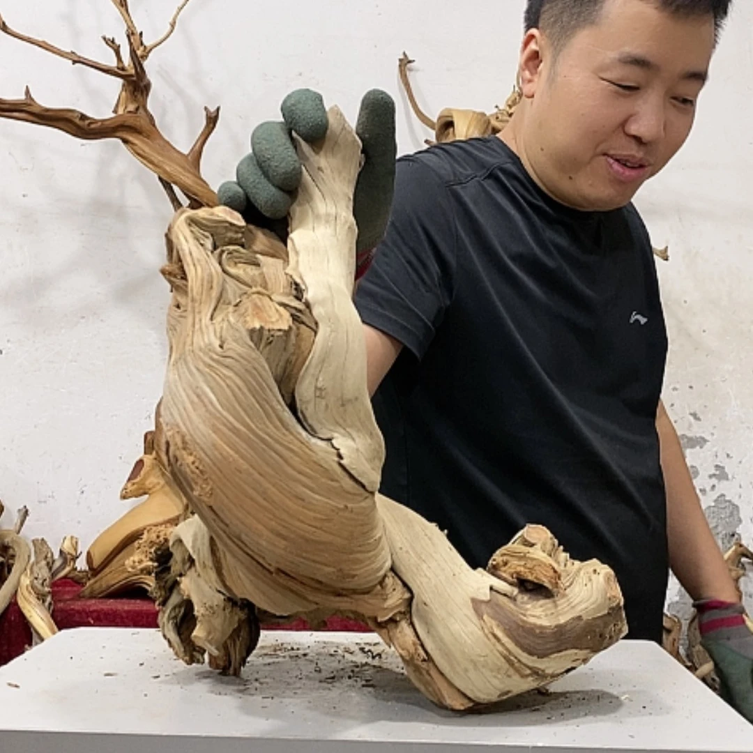 【闪购商品】柏木小*倩我们都是好孩子