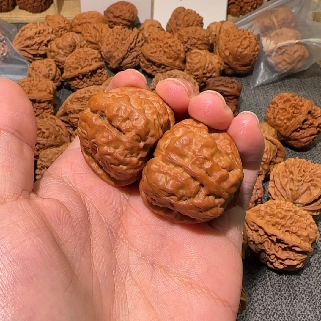 核桃37尺有修蛤蟆头